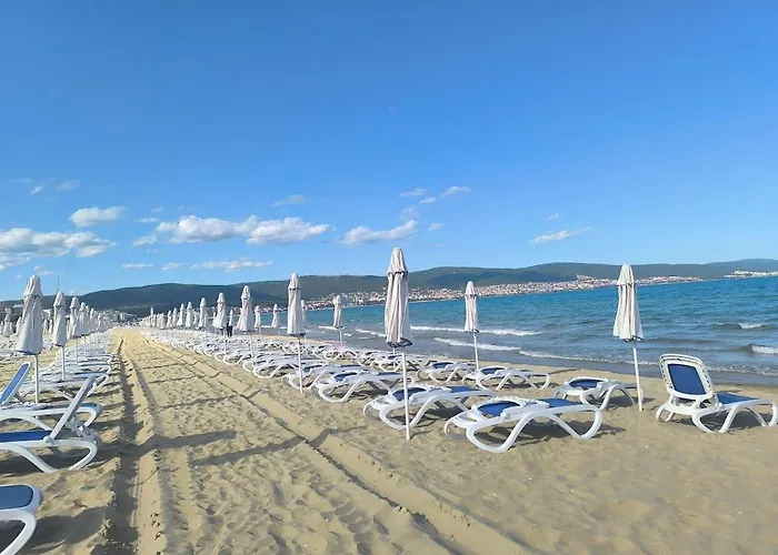 Golden Hermes, Z Basenem סאני ביץ'